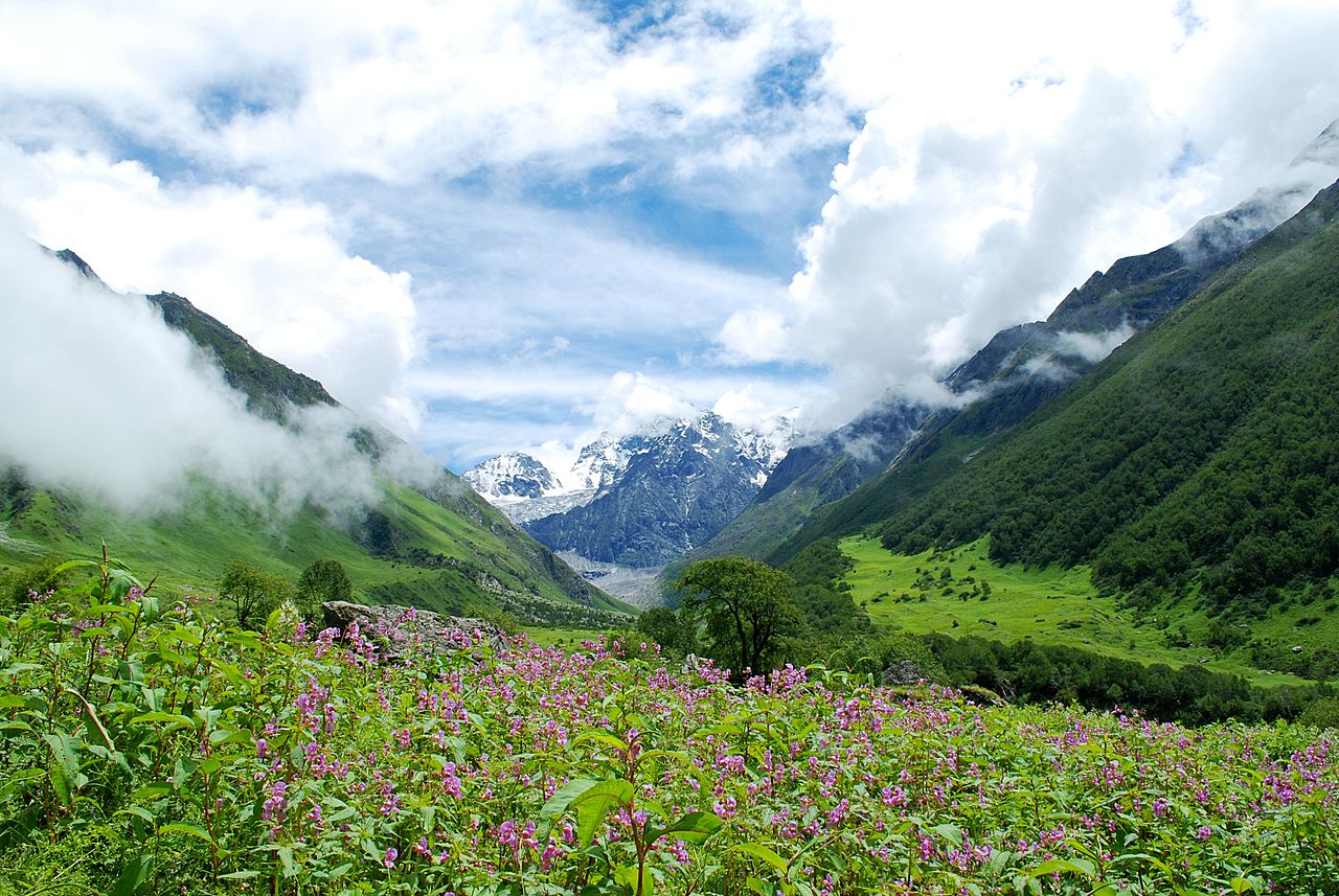 Valley of Flowers